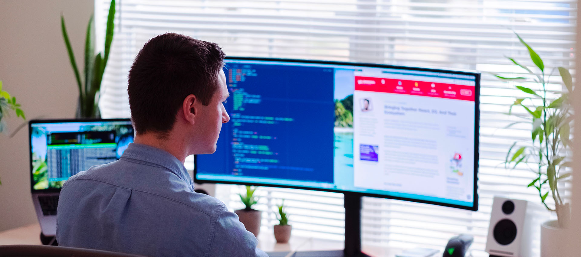 Sviluppo software e app